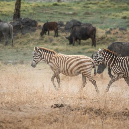 Sarova Lion Hill Game Lodge Накуру Екстер'єр фото